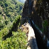 Plants: image 69 Of 208 Thumb